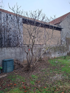 Photo de galerie - Taille de haies et d'arbustes