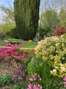 Photo de galerie - Paysagiste - Aménagement du jardin