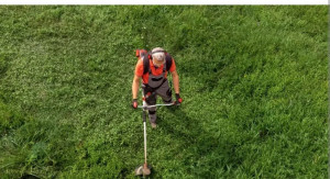 Photo de galerie - Débroussaillage 