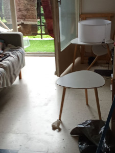 Photo de galerie - Ménage effectué chez un client 