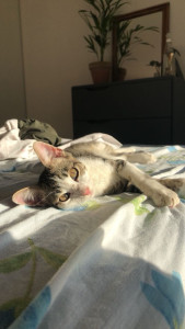 Photo de galerie - Mannequin