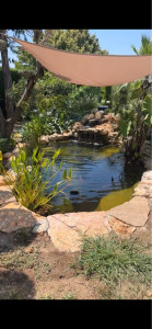 Photo de galerie - Paysagiste - Aménagement du jardin
