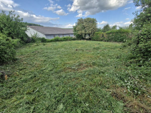 Photo de galerie - Tonte de pelouse - Débroussaillage