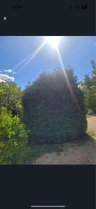 Photo de galerie - Avant