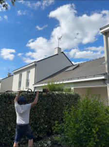 Photo de galerie - Taille de haies et d'arbustes
