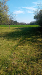 Photo de galerie - Débroussaillage terrain – travail propre et soigné