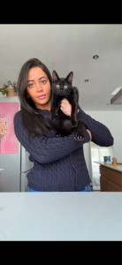 Photo de galerie - Garde chat