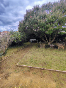 Photo de galerie - Tonte de pelouse - Débroussaillage