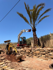 Photo de galerie - Paysagiste - Aménagement du jardin