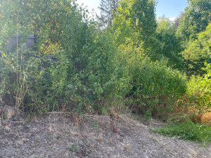 Photo de galerie - Jardinier