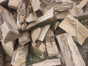 Photo de galerie - Bois prêt a brûlé 