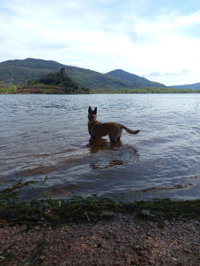 Photo de galerie - Début de matinée et baignade, une bonne journée pour Miss Ice ! ?