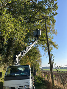 Photo de galerie - Intervention  élagage de rideau 