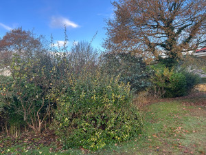 Photo de galerie - Avant 