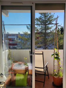 Photo de galerie - BALCON MONTPELLIERAIN 
•
Aménagement et plantations d'essences comestibles sur un petit balcon à Montpellier.