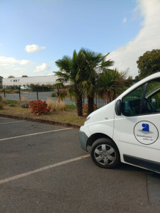 Photo de galerie - Tondre la pelouse et débroussailler 