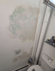 Photo de galerie - Peinture - Tapisserie