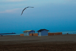 Photo de galerie - Photographe