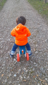 Photo de galerie - Balade au parc et découverte de l'automne pour loulou