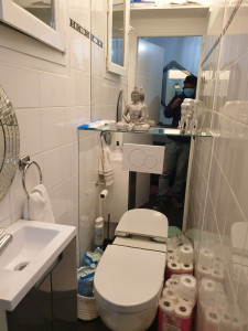 Photo de galerie - Refaire  toilette complètement poser de carrelage sol et mur et peinture plafond pose de placo BA13 et poser de WC  suspendu avec miroir 