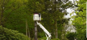 Photo de galerie - L'amiedesjardin vous propose des travaux à la nacelle de sécurité pour élaguer  0786681271