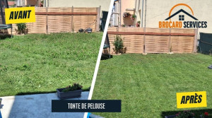Photo de galerie - Tonte de pelouse soignée