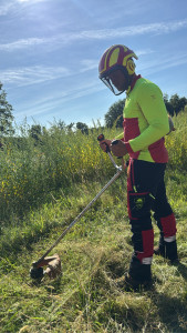Photo de galerie - Débroussaillage d’un champ laissez sans entretien 