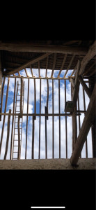 Photo de galerie - Réfection de toiture