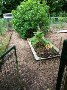 Photo de galerie - Tonte de pelouse - Débroussaillage