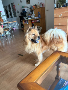 Photo de galerie - Ouf