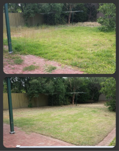 Photo de galerie - Pelouse