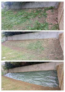 Photo de galerie - Paysagiste - Aménagement du jardin