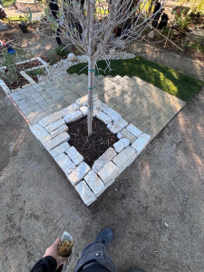 Photo de galerie - Paysagiste - Aménagement du jardin