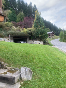 Photo de galerie - Chantier de tonte sur Morzine 