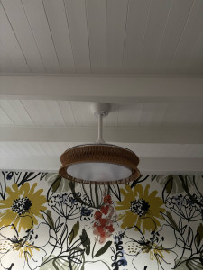 Photo de galerie - Lustre ventilateur 