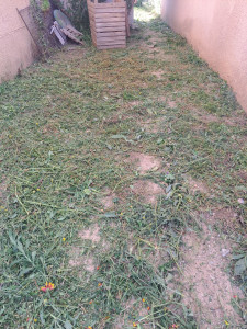 Photo de galerie - Tonte de pelouse - Débroussaillage