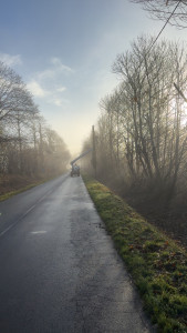 Photo de galerie - Elagage pour la fibre et telecom 