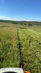 Photo de galerie - Débroussaillage herbe haute 