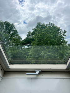 Photo de galerie - Après lavage de vitres 