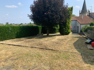 Photo de galerie - Débroussaillage âpres