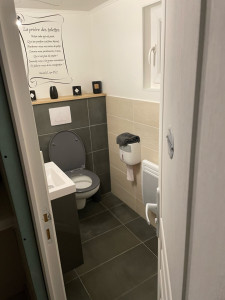 Photo de galerie - Rénovation toilettes 