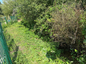 Photo de galerie - Débroussailler 