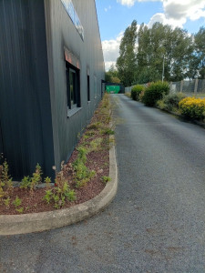 Photo de galerie - Taille de haies et d'arbustes