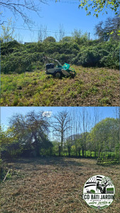 Photo de galerie - Tonte de pelouse - Débroussaillage