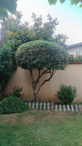 Photo de galerie - Taille 