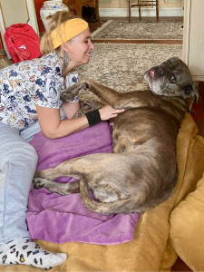 Photo de galerie - Masseuse animalière 