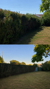Photo de galerie - Avant après 