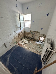 Photo de galerie - Salle de bain avant 