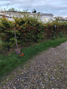 Photo de galerie - ?