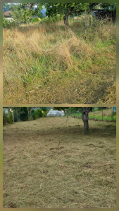 Photo de galerie - Débrousaillage